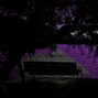 SoFeint - Xans