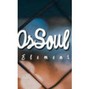 BIGOsSoul - Pleasure