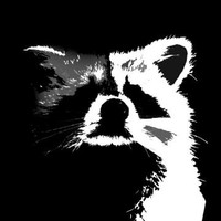 RaccoonBeatz