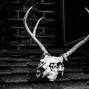Shack Beats - Solo (120 BPM)