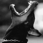 David Tamas - Dawg Freestyle | BUY 2 GET 1 FREE