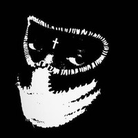 Veil