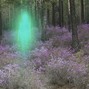 NORTH - TRANSIENT - PROD. NORTH