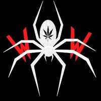 White Widow