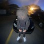 Sterloid! - folded
