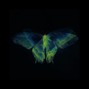 getexis - 10X
