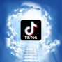 (Prod. by Chrissa SJE) - RIP TIKTOK (fakemink x nettspend type beat)