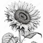 DaggHomie - Experimental Dagghomie beat `` Sunflower ``