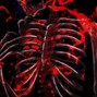 Bonesmadeit - bottlesonbones