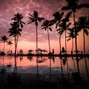 Zenter - "Tropical Love" (Favela Funk BR, Blanco Type Beat)