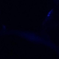 prodbyuntrue