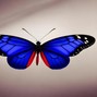 ArStrong - Butterflies (Bit Producer Armstrong)
