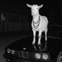 prodJoel - Nemzzz x Kidwild x Hoodtrap Type Beat - 'GOAT'  (@producedbyteezy @era @_jjoel08)