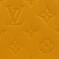 Joshua Vuitton