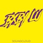 bxbylu - SCAR