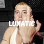 SekendMazeBeats - Lunatic - Old School Eminem Slim Shady Type Beat