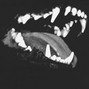 xogetz - periodic @xogetz (C# minor)