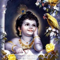Lord Krishna 