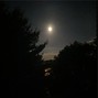 prodbygraey - Dumb But Rich