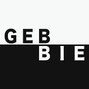 GEBBIE - ENERGETIKA - POP x EDM TYPE BEAT
