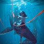 DefRee - Dark Blue Fantasy