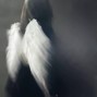 @kkioru - archivecore + digicore + soundcloud type beat "tears"