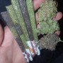Koda - Idk wht they got goin!