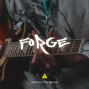 Aydhiny - 👑 FORGE -> 49$ UNLIMITED