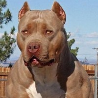 xarkr