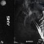 4brvhvm - SKY • Travis Scott Type Beat