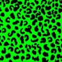 Movii - Movii - tra 148bpm E minor