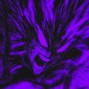 Level on the Beat - MEMPHIS X RAP PHONK TYPE BEAT - "DARK WILLOW" 