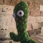 Shahed - cactus
