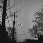 erjk - Cure