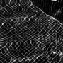 Ocular - Truth