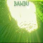 Sekvi - Bambu