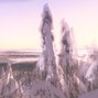 Estuary - Britney