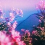 ProdWeontn - Summrs x Pluggnb x New Era "Blue Sky"