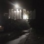 Voldemar - Night Road