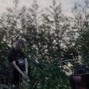 hatchetsaw - Limb (@hatchetsaww)
