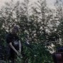 hatchetsaw - Adderal (@hatchetsaww)