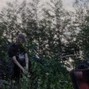 hatchetsaw - Scatterbrain (@hatchetsaww)