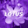 No ($) Savant - Chill Indie Tame Impala X Cage the Elephant X ASAP Rocky Type Beat "Lotus"