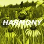 No ($) Savant - Old School Boom Bap Type Beat "HARMONY"