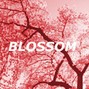 No ($) Savant - Chill Experimental Flume X Toro Y Moi Type Beat "BLOSSOM"