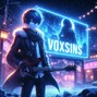 voxsins - Cold Nights