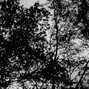 БуБу - AutumnAutumnAutumn