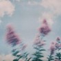 Zaini - I'm Responsible (prod. Gummy & Zaini)