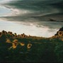 Zaini - Falter