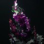 floydie - crystal